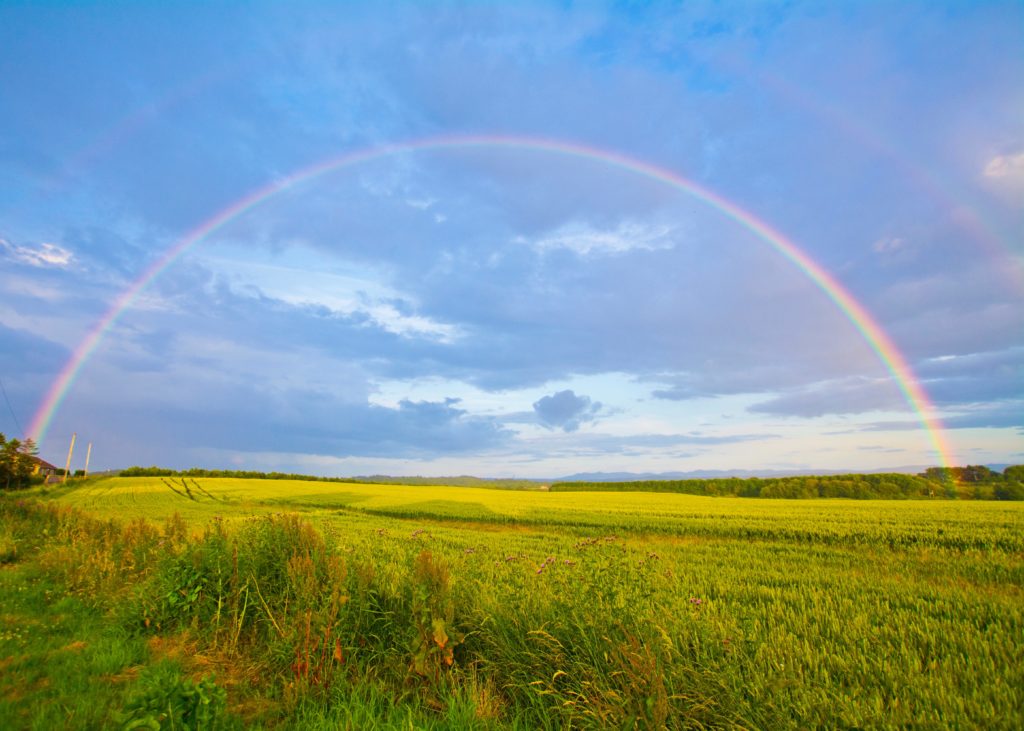 A rainbow over green fields