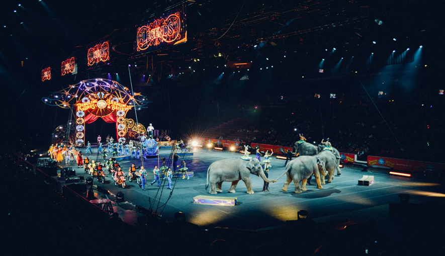 A large and brightly-lit circus parade with elphants clowns etc