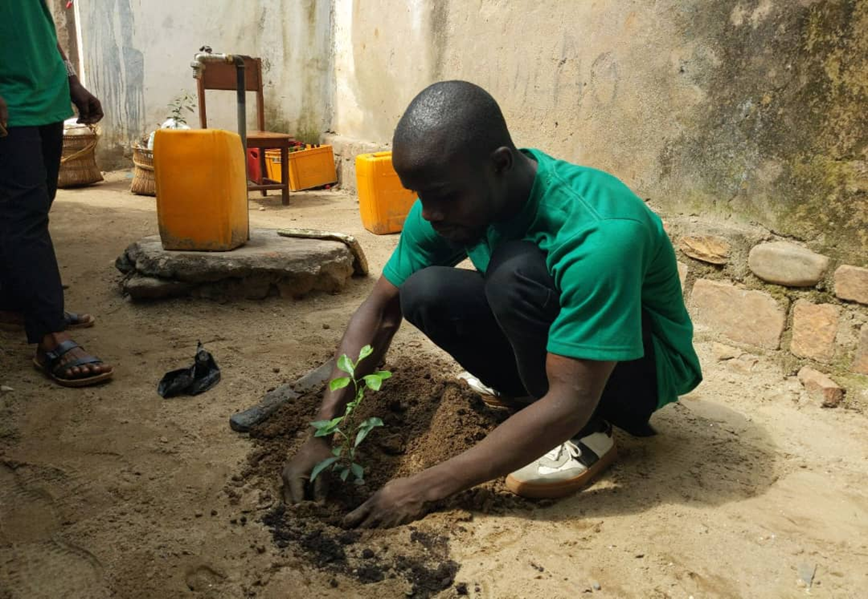 An African carefully planting a seedling