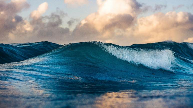 We Need to Talk About Our Oceans!