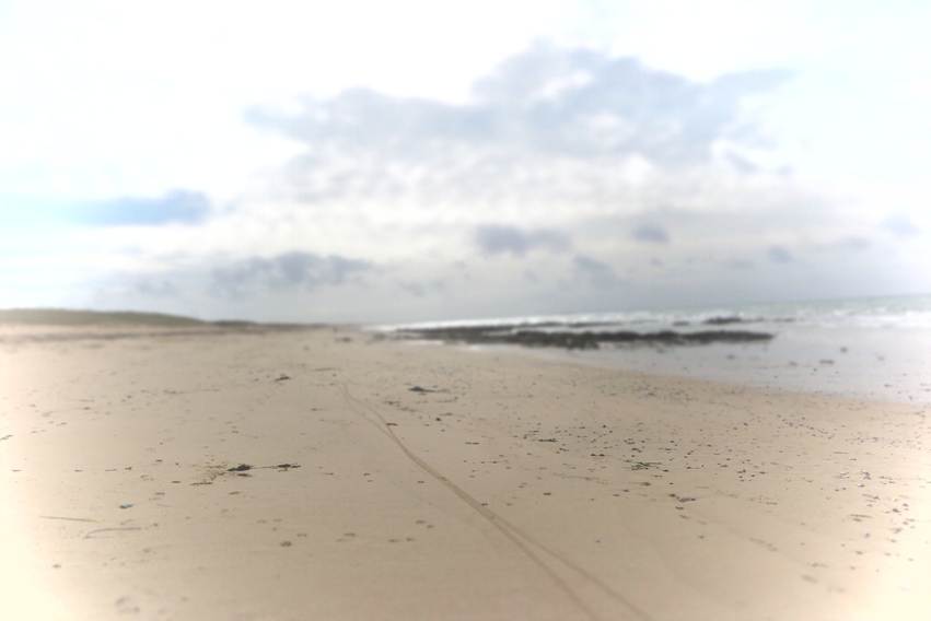 A bleak beach as if picturing limbo