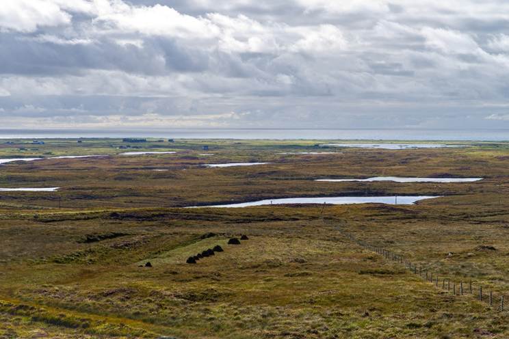 A bleak peat bog