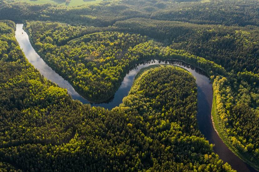 An aerial view of Brazilian rain forest