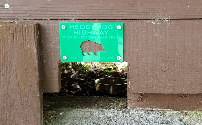 A hedgehog-sized gate (for a hedgehog) in a garden fence