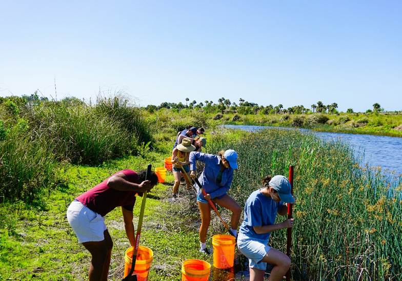 Tampa Bay estuary volunteers working cleaning a river bank