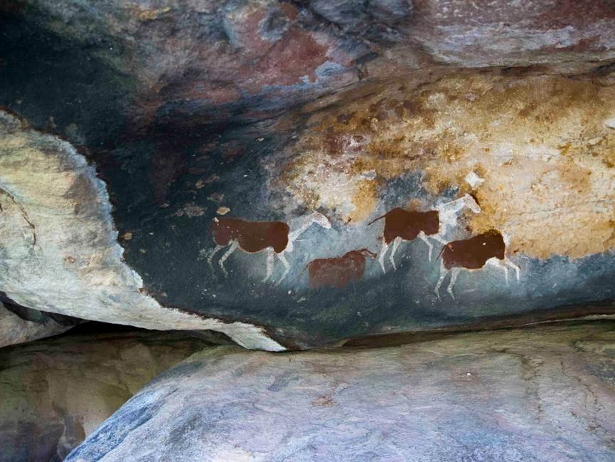 Prehistoric cave paintings of animals